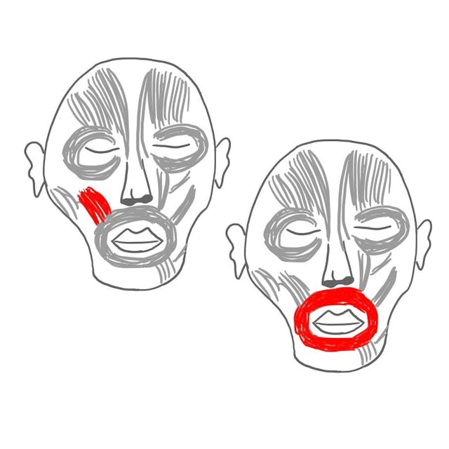 Wangenmuskeln (M. buccinator) begrenzen den Mund, während die Ringmuskeln (M. orbicularis oris) unsere Lippen bewegen.
