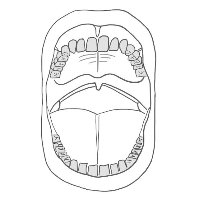 32 Zähne. 

Wobei die meisten Menschen aber nur 28 Zähne haben, da die Weisheitszähne (8er) oft fehlen oder schon entfernt wurden. 