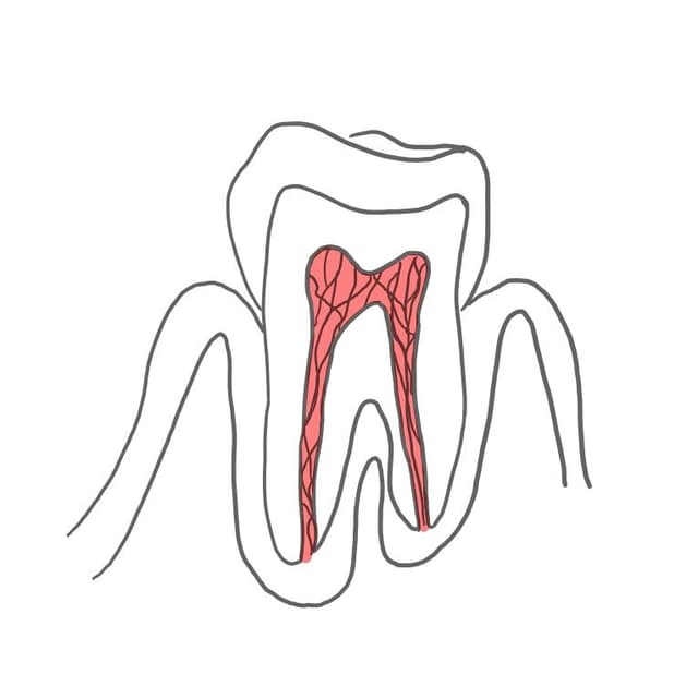 Hyperämie: 
die Durchblutung wird verstärkt, um mehr Abwehrstoffe gegen die Bakterien zum Ort der Schädigung zu transportieren.