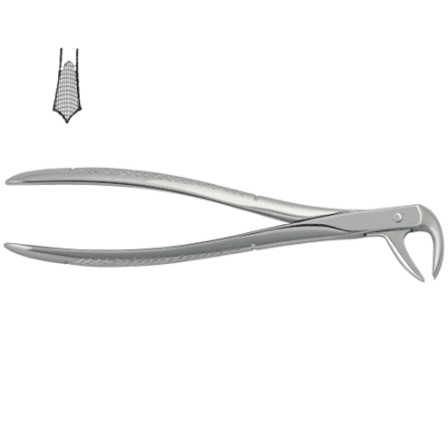 UK - Molarenzange:
über die Kante gebogen, offenes Maul und zwei Zacken.
Die Zacken greifen in die Furkation zwischen der mesialen und distalen Wurzel.