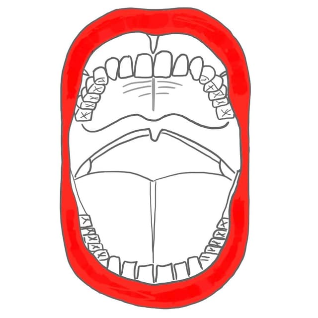 Lippe = labia /-um