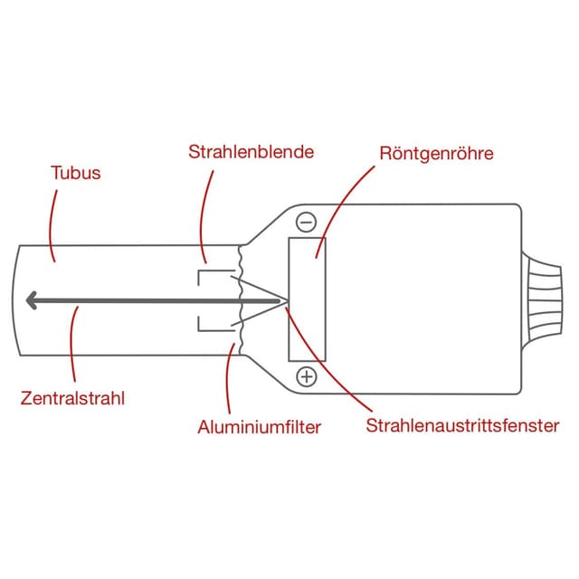 Hinter dem Strahlenaustrittsfenster befindet sich beim Dentalröntgengerät der Tubus.