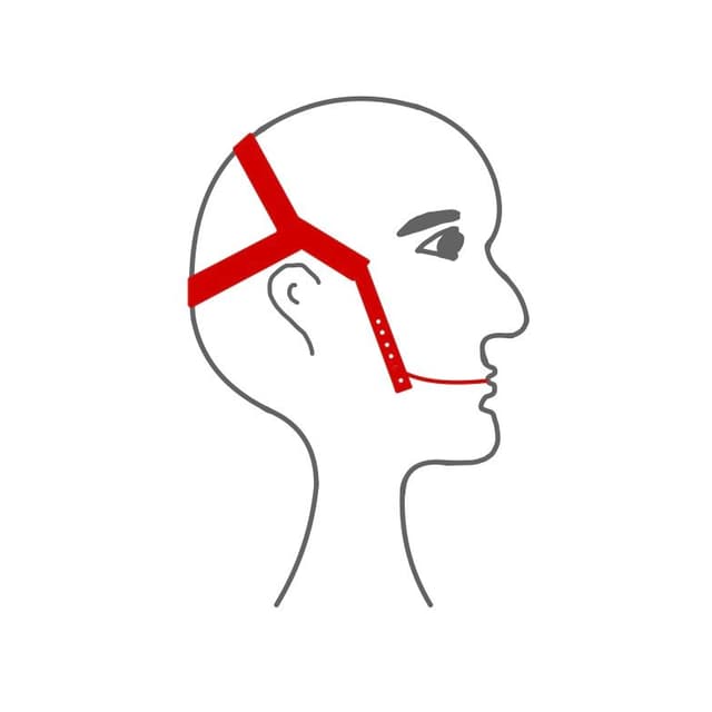 Headgear bzw. Gesichtsbogen: